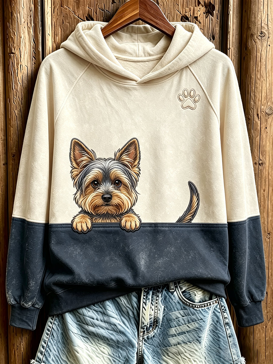 Damen Peeking Yorkshire Terrier & Paw Print Kontrast farbe Gemütliches Sweatshirt